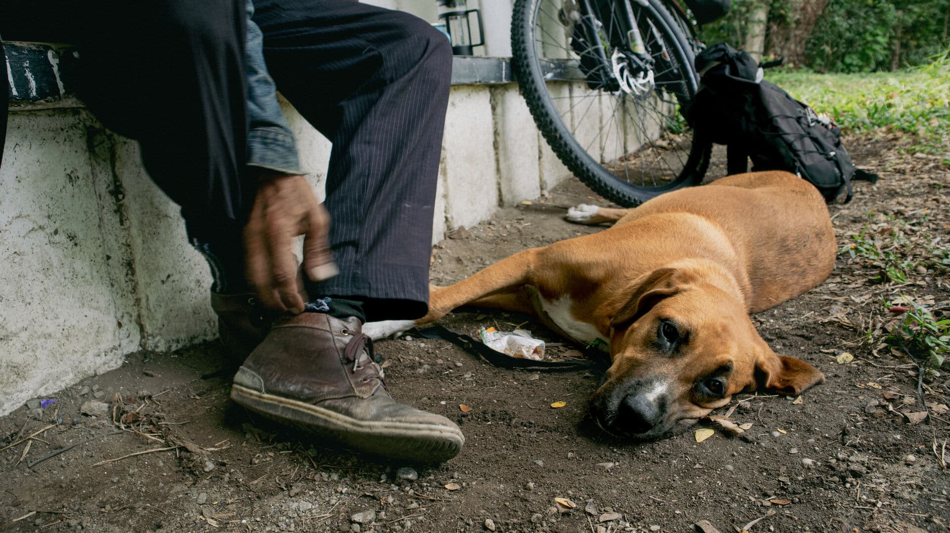 La vida rural late en cada vereda
