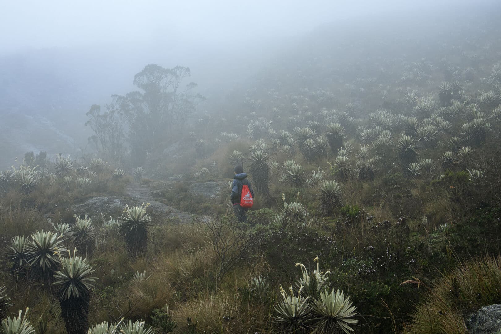 Horizontes infinitos detrás de las montañas