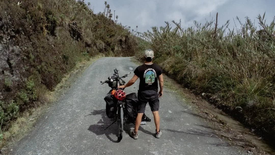 Reflexión necesaria en la quietud del camino