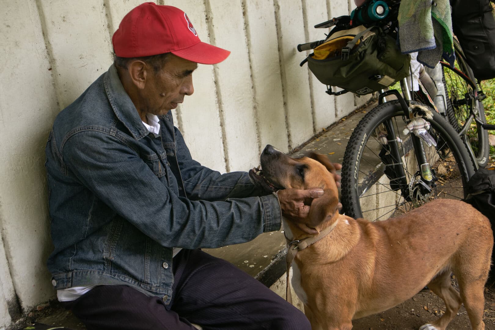 Los Olvidados - Montañas